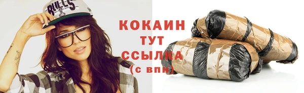 стаф Вязники