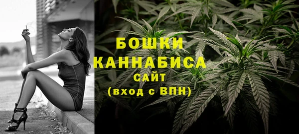 стаф Вязники