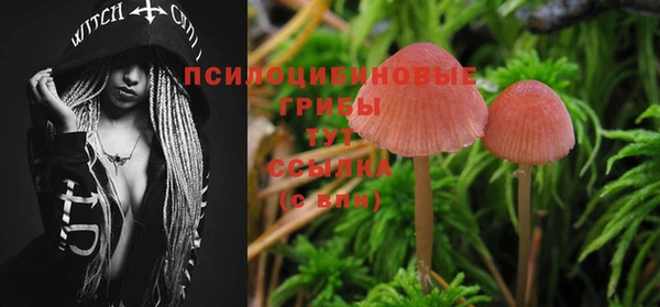 стаф Вязники