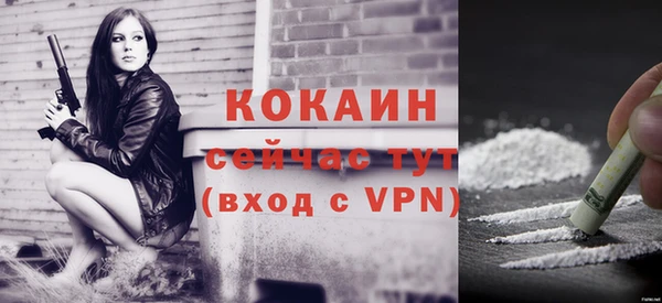 стаф Вязники