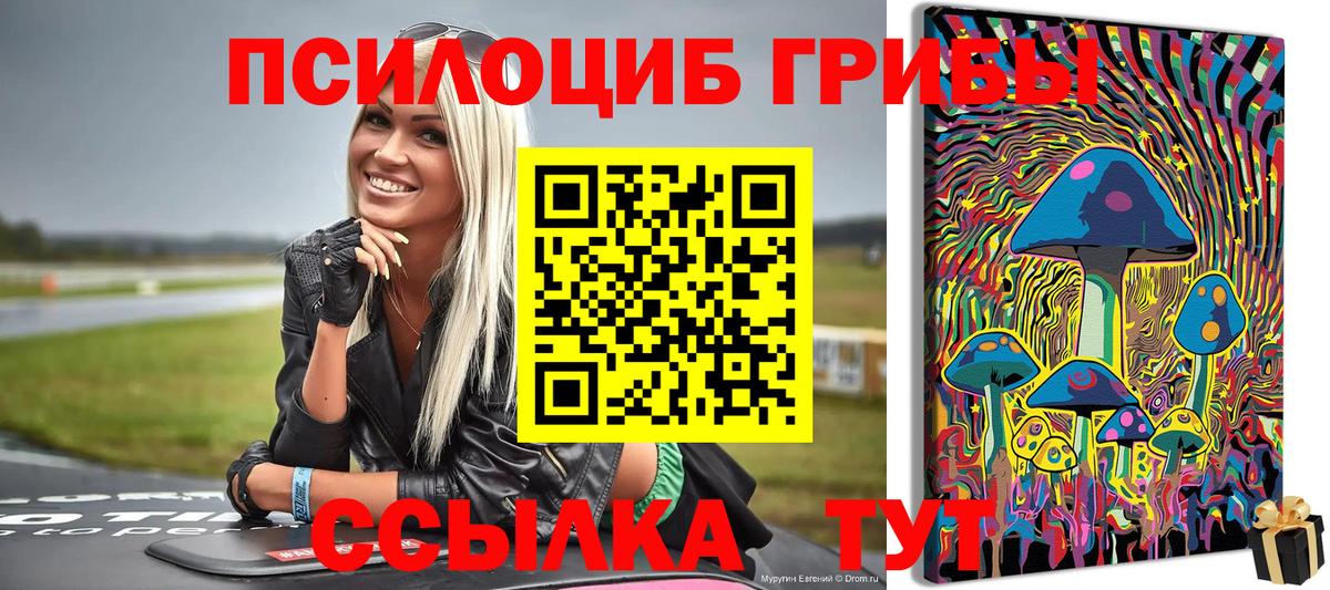Галлюциногенные грибы ЛСД  Галлюциногенные грибы Magic Shrooms  Муром  Вход с VPN 